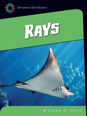 Rays - ebook